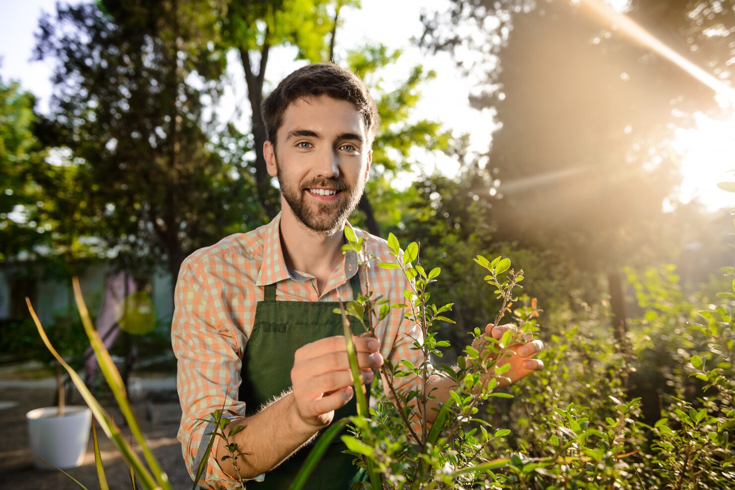 joven apuesto jardinero sonriendo cuidando plantas 176420 3818