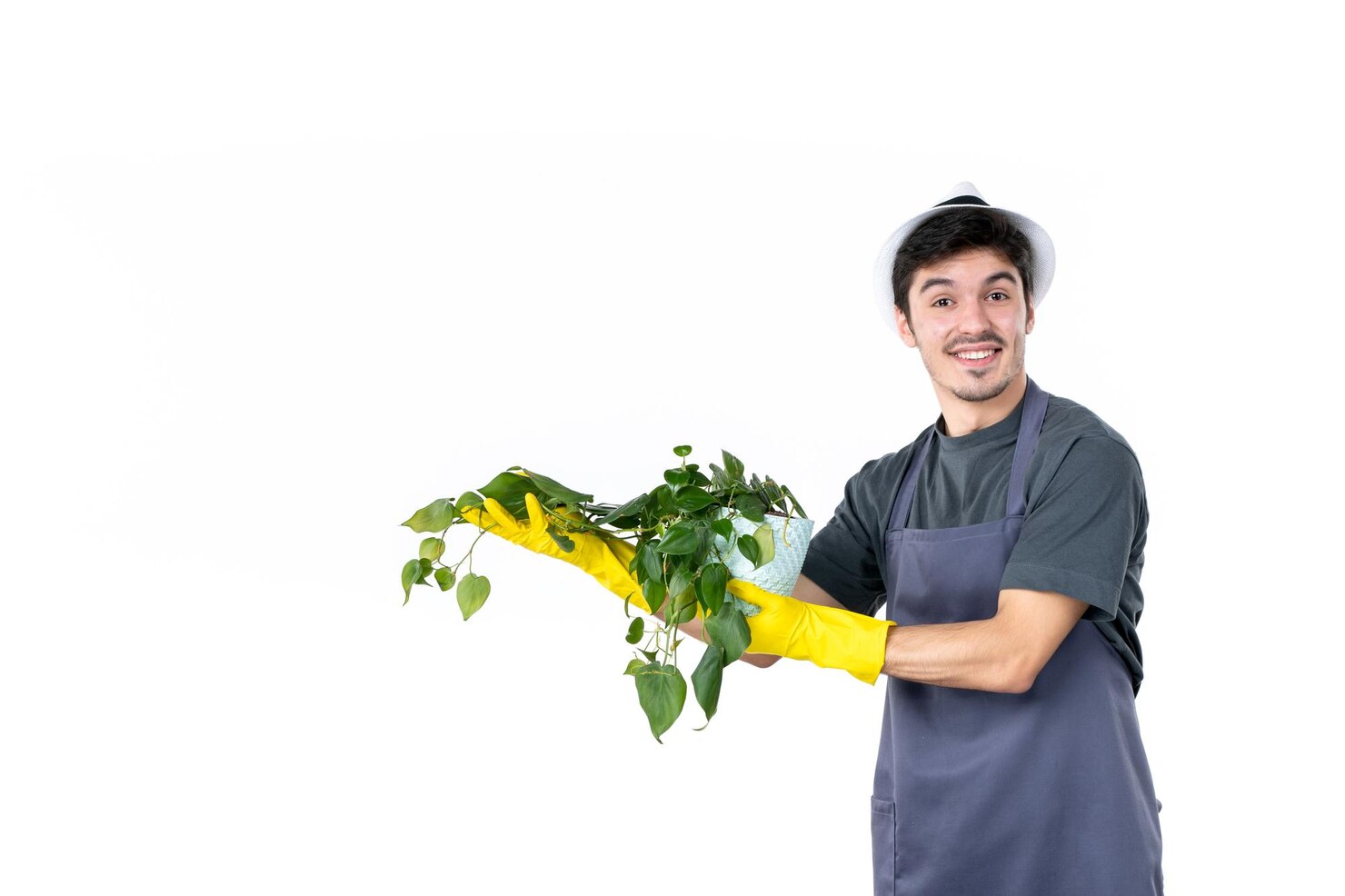 vista frontal joven jardinero masculino sosteniendo planta sobre fondo blanco jardin flores arbol hierba color tierra trabajo 140725 159984